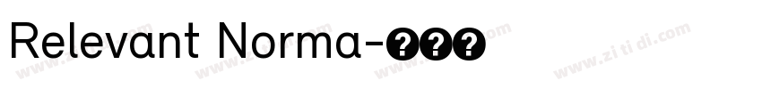 Relevant Norma字体转换